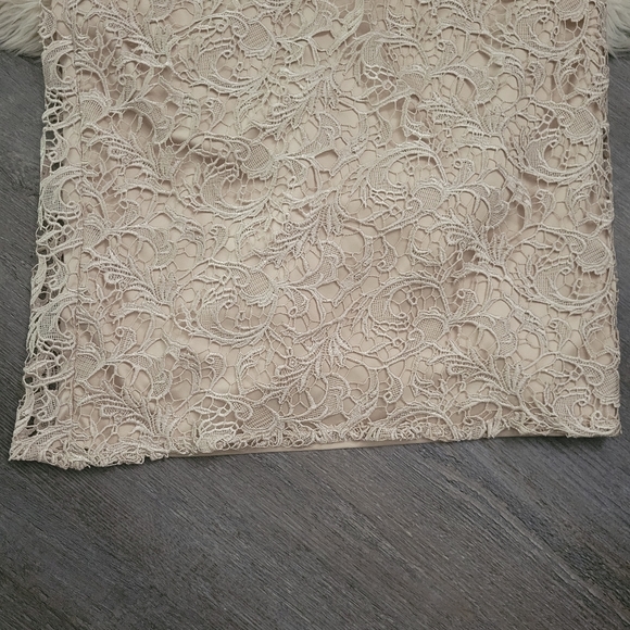 Adrianna PapellCap-Sleeve Illusion Lace Gown Size 14 - Picture 12 of 16